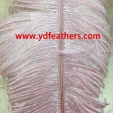 Ostrich Feather Dyed Pink From China