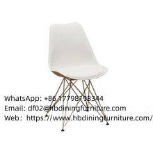 Plastic Dining Chair thumbnail-1