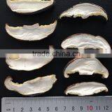 Dried Shiitake Mushroom Slice 1KG