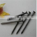 Cheap Polished Common Nails/Bright Common Nails