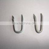 Galvanized U Shape Nails thumbnail-6