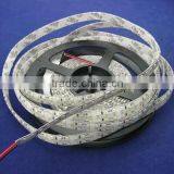 2 Row 240leds/m Cold White Waterproof Outdoor 3528 Led Strip For Building Decoration thumbnail-6