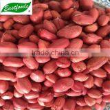 Red Skin Peanut Kernel thumbnail-2