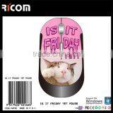 Slim USB Receiver AAA Battery Powered Mouse Wireless Mouse for PC