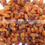 Hot Sale Zante Currant thumbnail-1