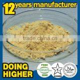 High Quality Factory Supply Food Ingredients Food Additive Glucose Oxidase thumbnail-3