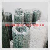 Pvc Hexagonal Wire Mesh for Sale
