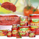 3KG High Quality Manufactory China Factory Canned Tomato Paste thumbnail-1