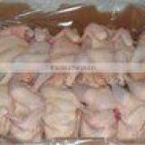 FRESH FROZEN CHICKEN thumbnail-6