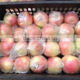 Fresh Apples thumbnail-6