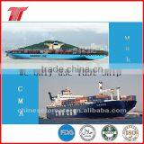 Tomato Sauce Ketchup Catsup thumbnail-5