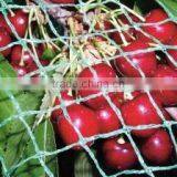 Climbing Plant Support thumbnail-2