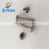 Good Quality Low Price Rivet Screw,machine Screw thumbnail-2