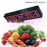 Full Spectrum Wholesale LED Grow Light 720W Gaea 144X5W LED Grow Light