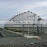 Galvanized Steel Frame Commercial Plastic Film Greenhouse Construction