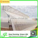 Multispan Tunnel Greenhouse for Flower thumbnail-4