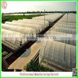Plastic Film Commercial Greenhouse for Tomatoes With Arched Type thumbnail-5