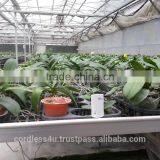 Greenhouse Automation Wireless Sensors thumbnail-4