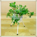 Metal wire white flower stand
