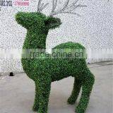 Artificial Grass Animal Shape Ornamental Plastic Animal Topiary With Wooden Package thumbnail-4