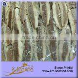Top Quality Sea Frozen Fish Fillet thumbnail-1