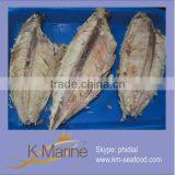 New Fresh Tuna Loin thumbnail-1