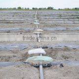 Black and Silver PE Biodegradable Mulch Film for Agriculture Greenhouse thumbnail-4
