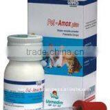 Pet - Amox Plus