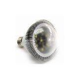 LED Spotlight (PAR30)