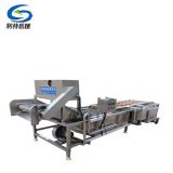 Industrial fruit washing machine and drying machine for pipeline production