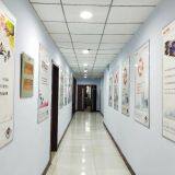 Tai'an City Kang Yu Medical Instrument Co.,ltd company overview - view 4 thumbnail