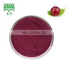 Food Grade Cranberry Powder Cranberry Extract in Bulk