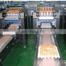 Full Automatic Egg Cleaning and Sorting Packing Line Production Line Processing Line thumbnail-3