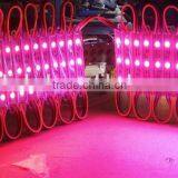 SMD 5050 Full Color Pixel Waterproof LED Module With Factory Price DC12V 0.75W thumbnail-2