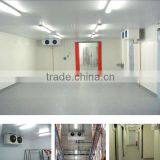 Walk in Refrigeration Coldrooms for Pitaya