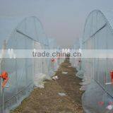 Greenhouse Manual Side Roll up Ventilation thumbnail-1