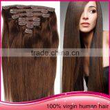 Unprocessed Malaysia Human Hair Remy Straight Clip In Hair Extension