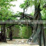 High Quantity New Style Selling Artificial Banyan Tree for Outdoor Decoration With Competitive Price thumbnail-4