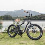 Rear Wheel Motor Mountain Electric Bike Chinese Fat Tire Bike thumbnail-2
