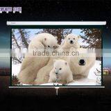 4:3 120" Education and Business Manual Projection Screen