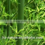 bamboo leaf extract , plant extract