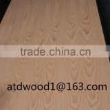 red beech plywood