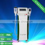 Reduce Cellulite 2015 Hot Sell Cryolipolysis Fat Removal/weight Loss/slimming Machine Skin Lifting thumbnail-1