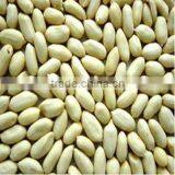 Good Qality Chinese Peanuts Long Type 24/28 thumbnail-1
