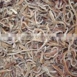 Individual Quick Frozen Black Fungus Strips thumbnail-1