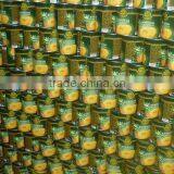 Canned Pineapple 3kg Best Selling thumbnail-2