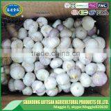 Best Price of Single Clove Garlic for Wholesale thumbnail-2