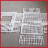 Chicken Transport Trays thumbnail-6