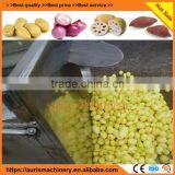 Best Selling Sweet Potato Yam Root Ginger Carrot Washing Machine thumbnail-2