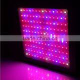 Agriculture System ETL Listed Mars Hydro Hydrophonic Indoor Planting With 5W LED Chip